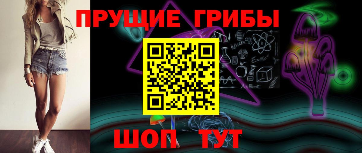 Галлюциногенные грибы Psilocybe Майский